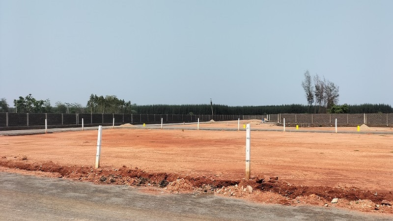 Image-14