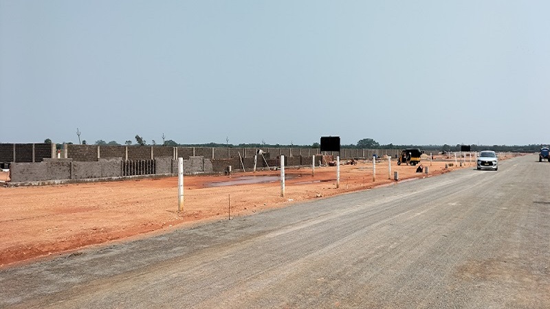Image-15