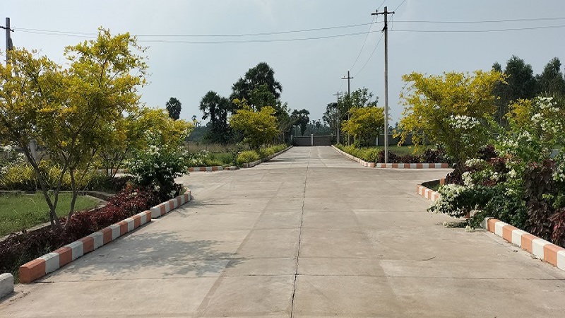 Image-17