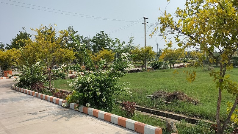 Image-19