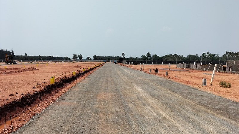 Image-6